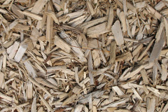 biomass boilers Craigrothie